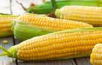 Как хранить вареную кукурузу