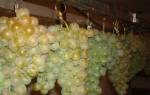 Как сохранить виноград на зиму в домашних условиях