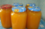 Тыквенный сок с апельсинами в домашних условиях на зиму