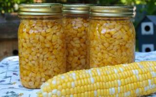 Кукуруза на зиму в домашних условиях без стерилизации