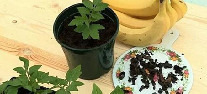 Кожура банана как удобрение