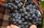 Калийные удобрения для винограда