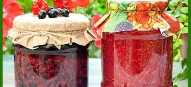 Варенье из брусники без варки