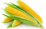 Как сушить кукурузу